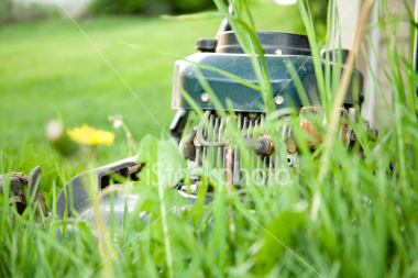 ist2_3462504_overgrown_lawn_mower.jpg