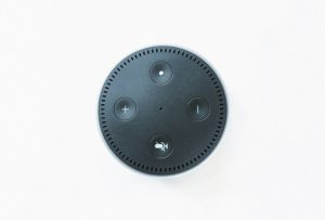 smartSpeaker-300x203